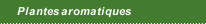 Plantes aromatiques
