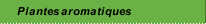 Plantes aromatiques