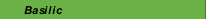 Basilic