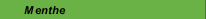 Menthe